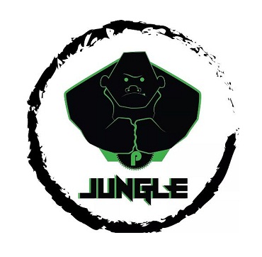 Jungle Gym McLean's Logo