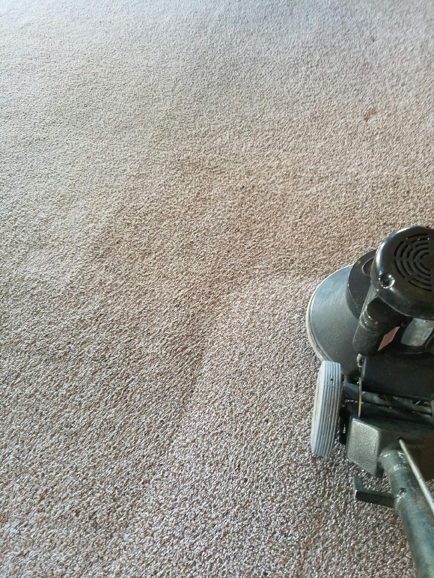 Joe's Carpet Cleaning and Moving