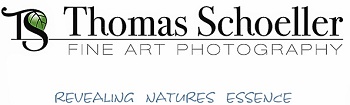 Thomas Schoeller Photography's Logo