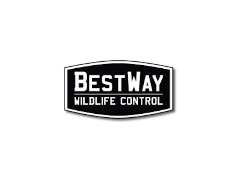 BestWay Wildlife Control's Logo