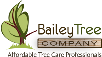 Bailey Tree LLC's Logo