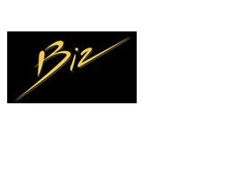 Biz Debt Services's Logo