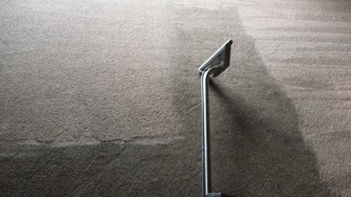carpet cleaning in acampo