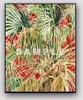 Palm Celebration