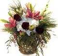 Christmas flowers delivered to Downingtown Pa