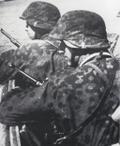 Camouflaged Clothing of the Waffen-SS