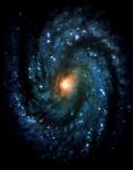 Generic spiral galaxy
