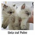 Shoko and Padme