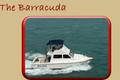 The Baracuda  is the only United States Coast Guard inspected charter boat in the Florida Keys! She is certified to hold up to 20 passengers. She offers plenty of room to fish since she is much wider than our other vessels. 