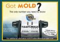 got mold and mildew removal specialist