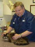 Michael Bellinghausen, Pet Hospital Kenmore - Vet Services in Kenmore, WA