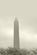 Washington Monument (left). Credit: Elizabeth Grove 