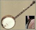 The Staghorn Banjo