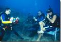 Jonathan Bird's Underwater Video Course. Click for enlargement.