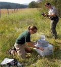 Photo of WDFW staff working in the field