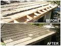 Roof Repair and Maintenance 