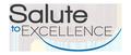2013 Salute to Excellence Finalists