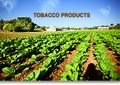 Tobacco Packaging Products