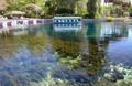 Image of Clear water, aquatic plants, and white sand bottom make up the natural attraction of Silver Springs.