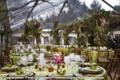 March is a perfect month for a clear tent and this one brought a tropical vibe to the lucky guests.