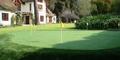 Synthetic Grass For A Premium Putting Green