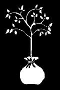 Plant a Tree.GIF (4003 bytes)