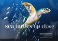 Sea Turtles Up Close Pic 1
