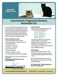 Clinical Trial for Inter-Cat Aggression | Exclusively Cats Veterinary Hospital, Waterford, MI, USA