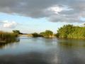Fishing Charters in Everglades National Park