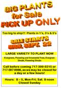 Big Plants Sale