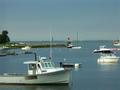 Harbor, Rodent Control in Hingham, MA