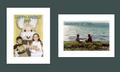 Vertical & Horizontal Photo Note Cards-Set of 8 ONLY $9.95!!
