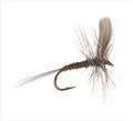 Blue Quill Dry Fly