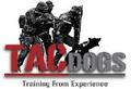 TAC Dogs