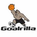 Goalrilla Basketball Goals