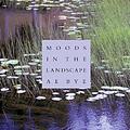 Moods in the Landscape: A. E. Bye