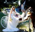 bride-and-buddy_inset