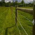 equifence high tensil horse fencing