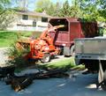 Tree Removal, Tree Removal in Shakopee, MN
