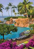 Lahiana Pool at Hyatt Regency Resort and Spa in Maui Hawaii hosting Hawaiian Dental Seminar