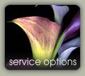 button_serviceOptions