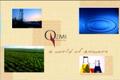 Qemi International Video Presentation