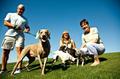 Del Webb dogs and their owners stay fit and make friends at the many available dog parks.
