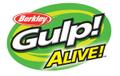 Gulp! Alive