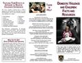 Domestic Violence and Children Brochure
