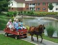 residents enjoy a horse and buggy ride