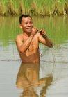 Rice Field Fisheries, Battambang