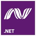 .NET Development Company