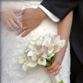 wedding bride picture w/petals bouquet