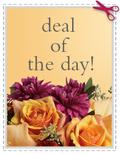 Deal of the Day in Mount Laurel NJ, Clover Gardens and Florist